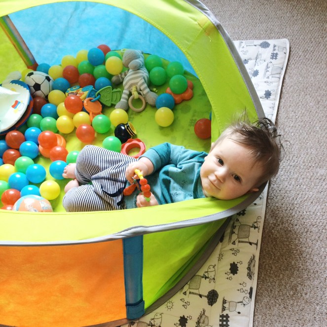 dexter_baby_ball_pool5