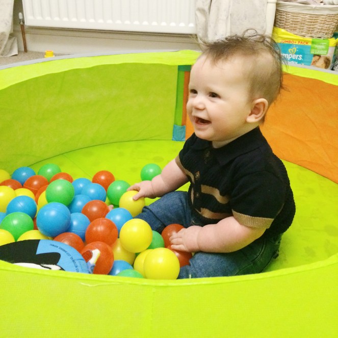 dexter_baby_ball_pool8