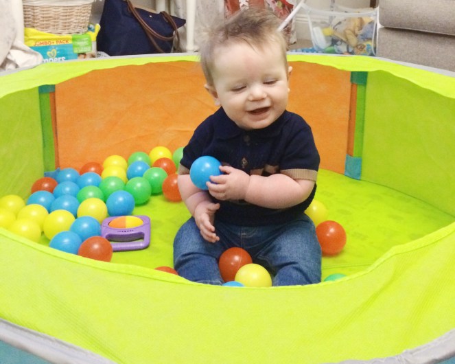 dexter_baby_ball_pool9