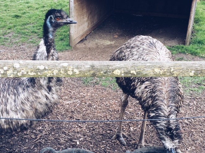 Processed with VSCO with a5 preset