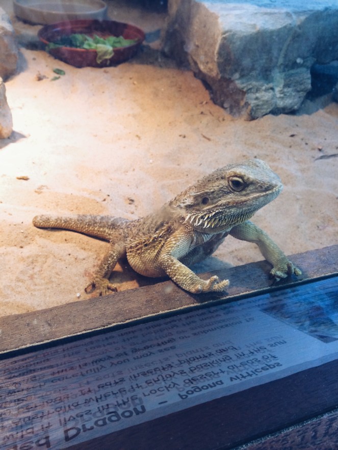 Processed with VSCO with a5 preset