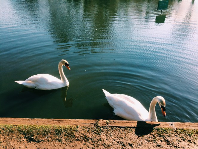 Processed with VSCO with c1 preset