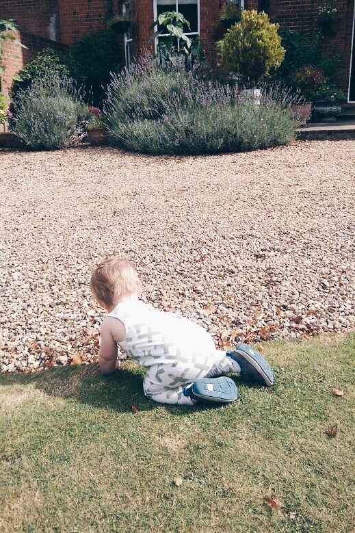 Processed with VSCO with hb1 preset