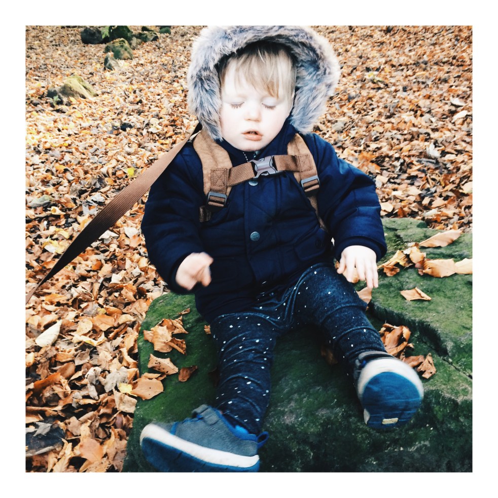 boy toddler woods autumn fall leaves walk parka